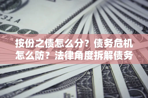 武汉按份之债怎么分？债务危机怎么防？法律角度拆解债务分配与风险自保指南