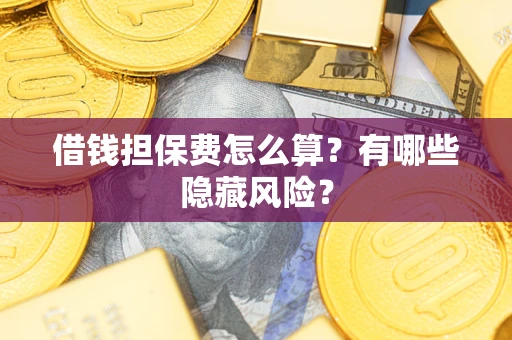 武汉借钱担保费怎么算？有哪些隐藏风险？