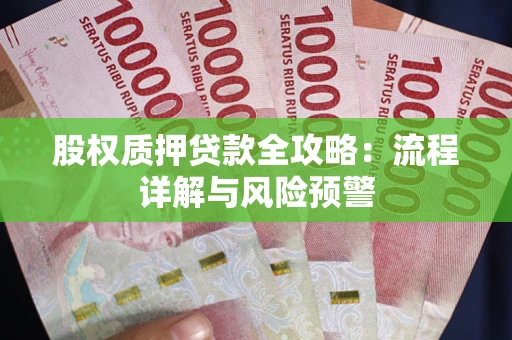 武汉股权质押贷款全攻略：流程详解与风险预警