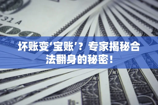 武汉坏账变‘宝账’？专家揭秘合法翻身的秘密！