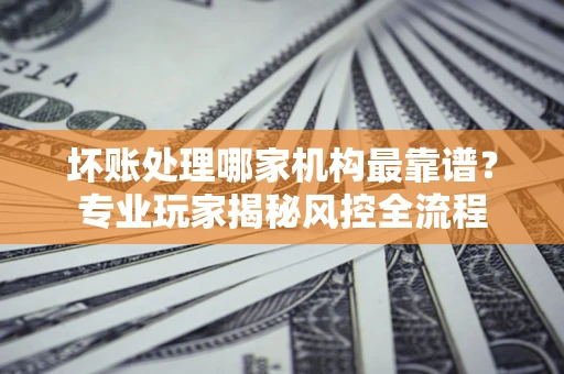 武汉坏账处理哪家机构最靠谱？专业玩家揭秘风控全流程