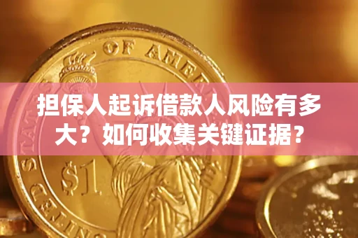 武汉担保人起诉借款人风险有多大？如何收集关键证据？