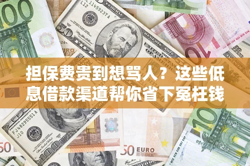 武汉担保费贵到想骂人？这些低息借款渠道帮你省下冤枉钱