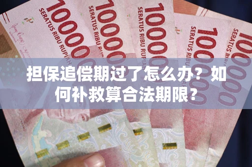 武汉担保追偿期过了怎么办？如何补救算合法期限？