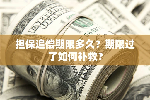 武汉担保追偿期限多久？期限过了如何补救？