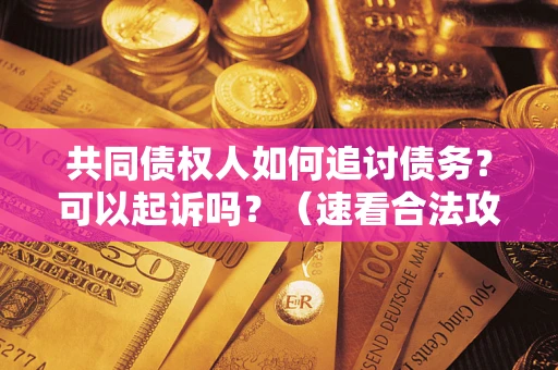 武汉共同债权人如何追讨债务？可以起诉吗？（速看合法攻略）